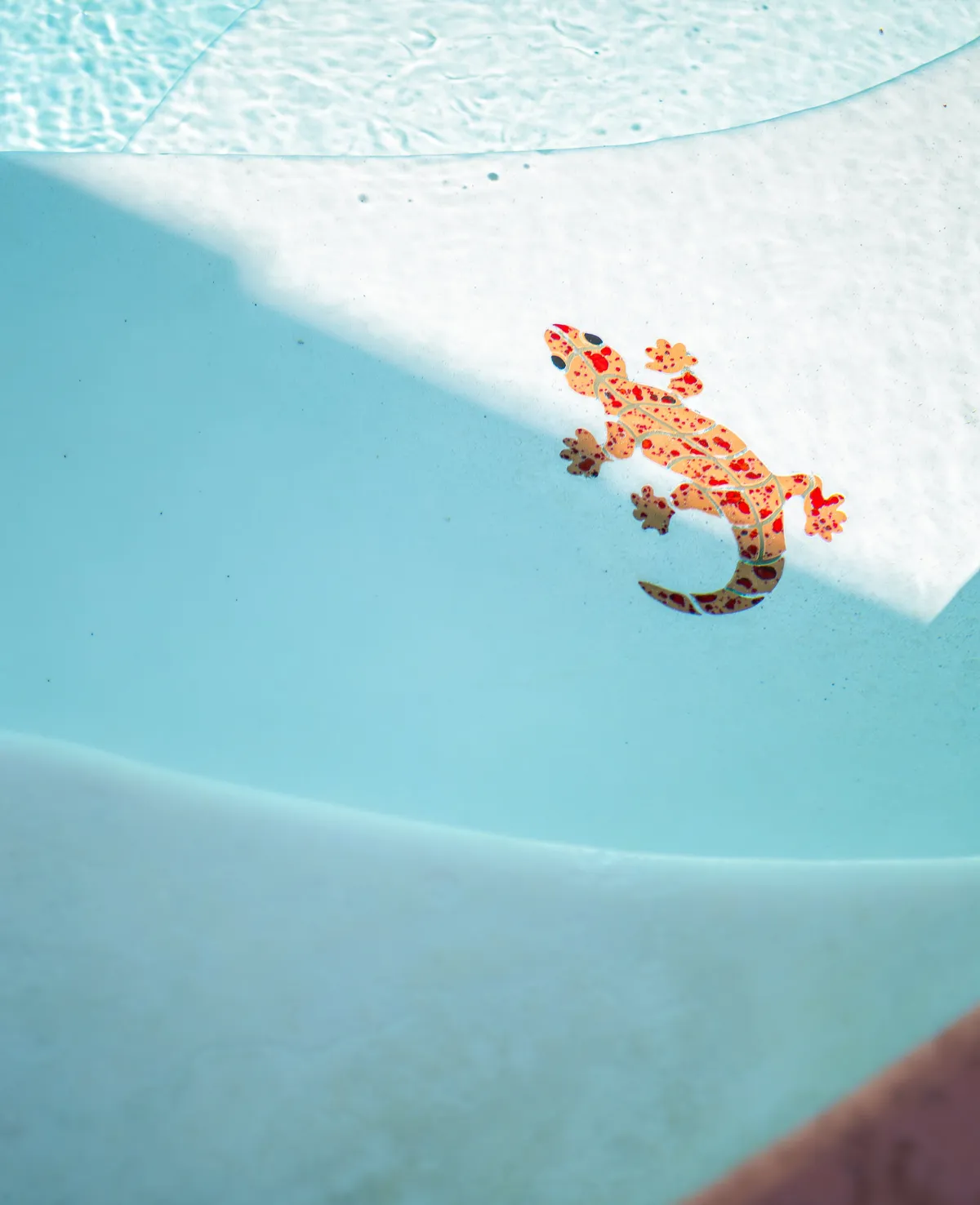 A playful and serene exterior view featuring a colorful lizard on the edge of a shimmering pool, with light reflecting on the water’s surface. The composition suggests relaxation opportunities and a connection to nature.